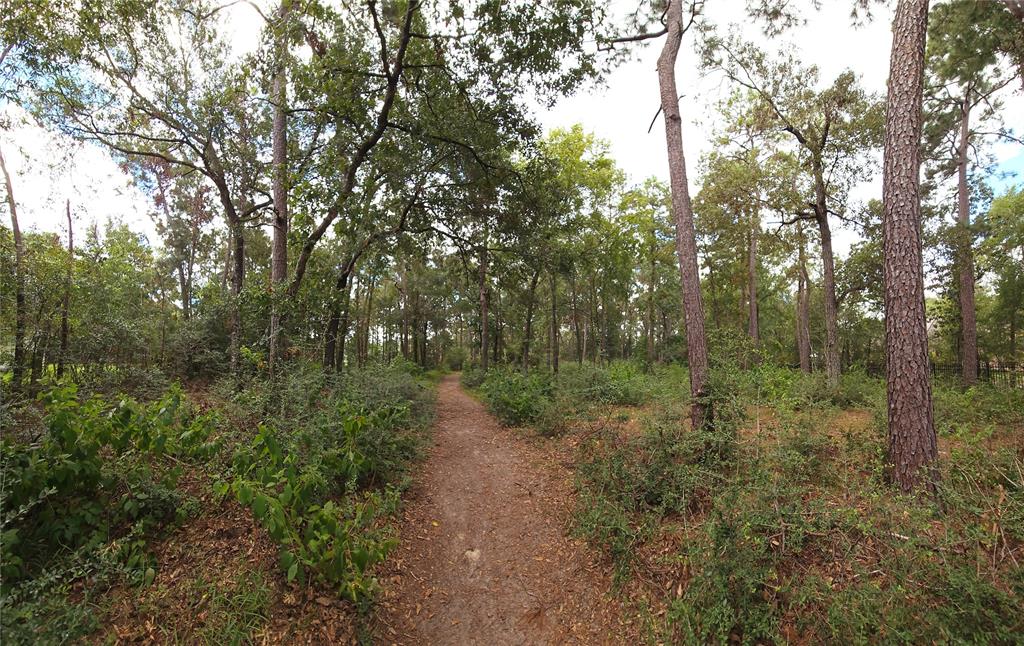 3803 Benders Lane, Spring, Texas image 4