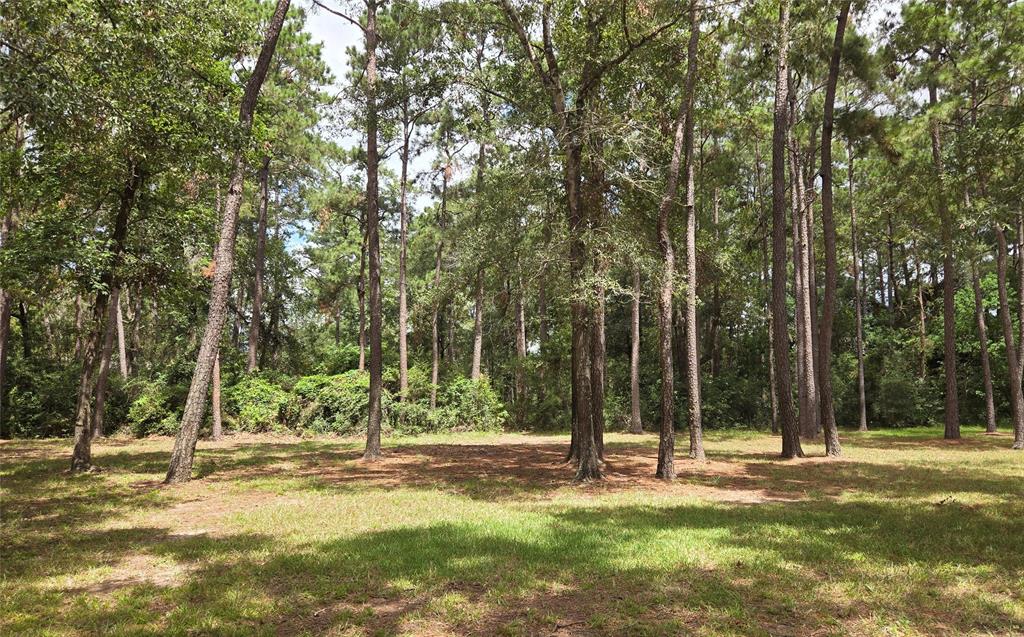 3803 Benders Lane, Spring, Texas image 6