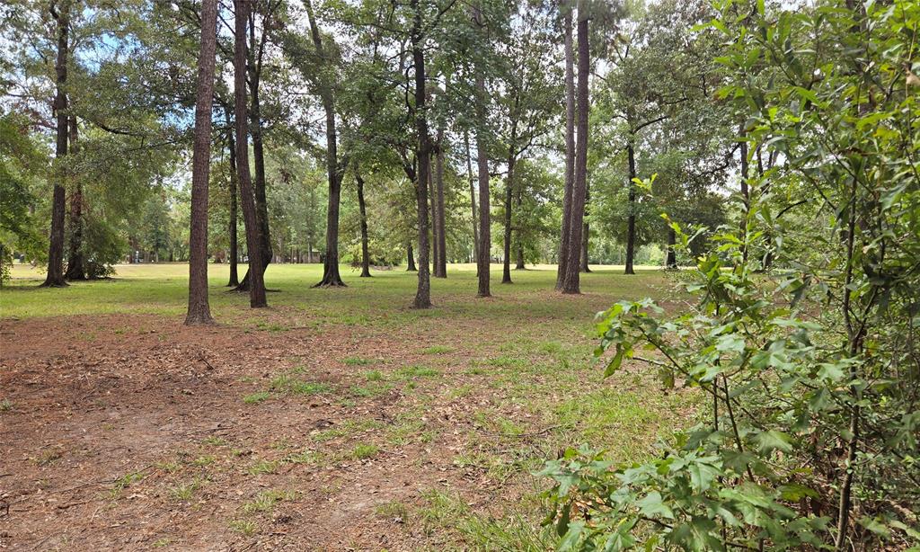 3803 Benders Lane, Spring, Texas image 5