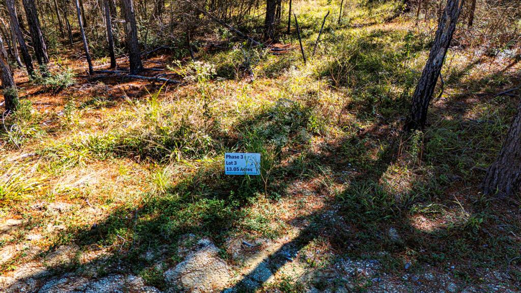 033 King Ranch Road South Road, Onalaska, Texas image 6