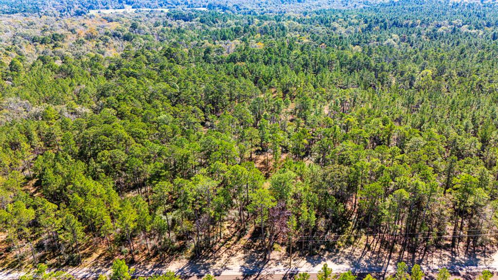 033 King Ranch Road South Road, Onalaska, Texas image 8