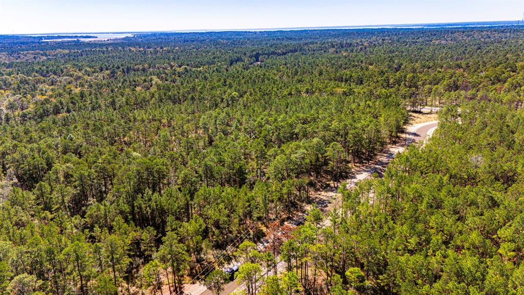 033 King Ranch Road South Road, Onalaska, Texas image 7