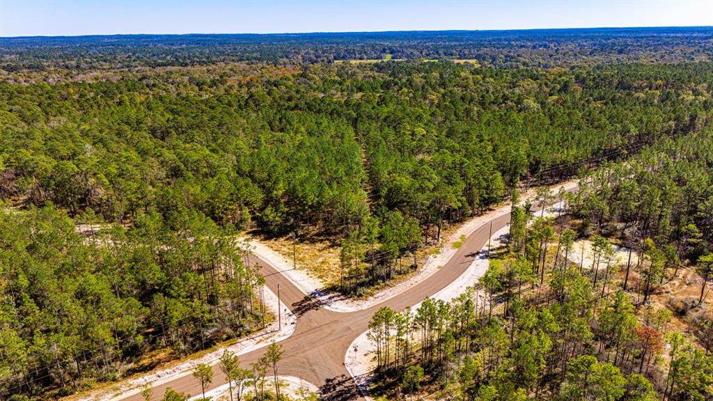 033 King Ranch Road South Road, Onalaska, Texas image 9