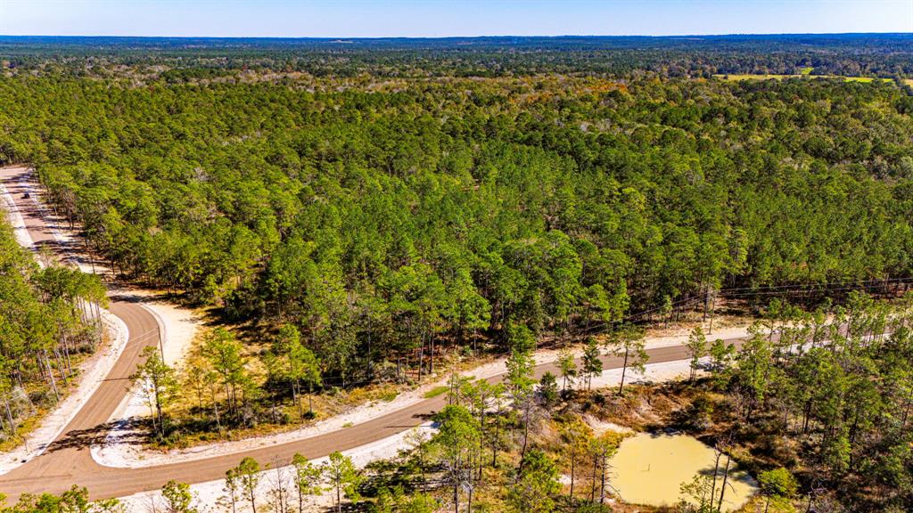 033 King Ranch Road South Road, Onalaska, Texas image 11