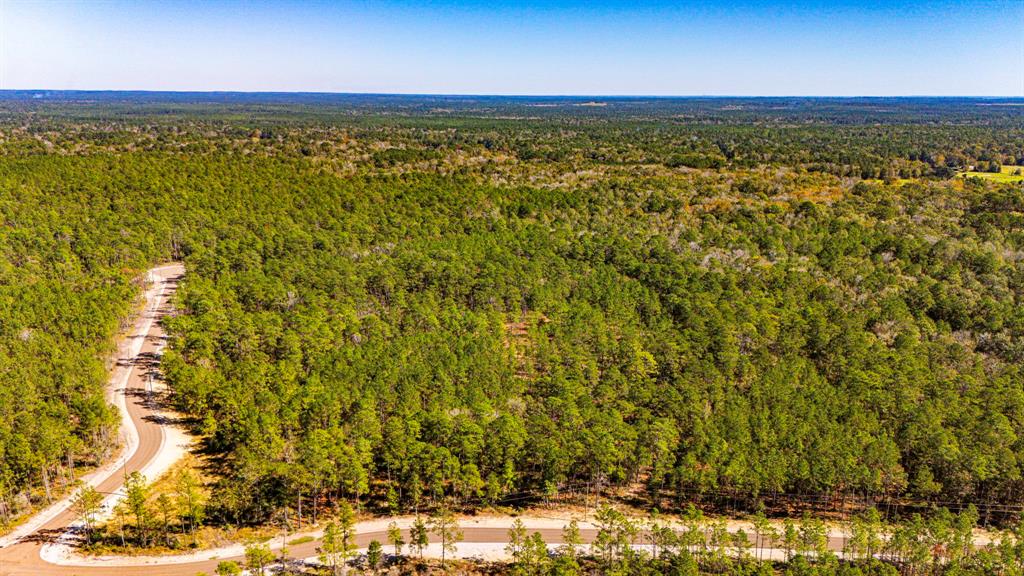 033 King Ranch Road South Road, Onalaska, Texas image 12