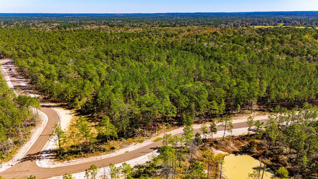 033 King Ranch Road South Road, Onalaska, Texas image 10