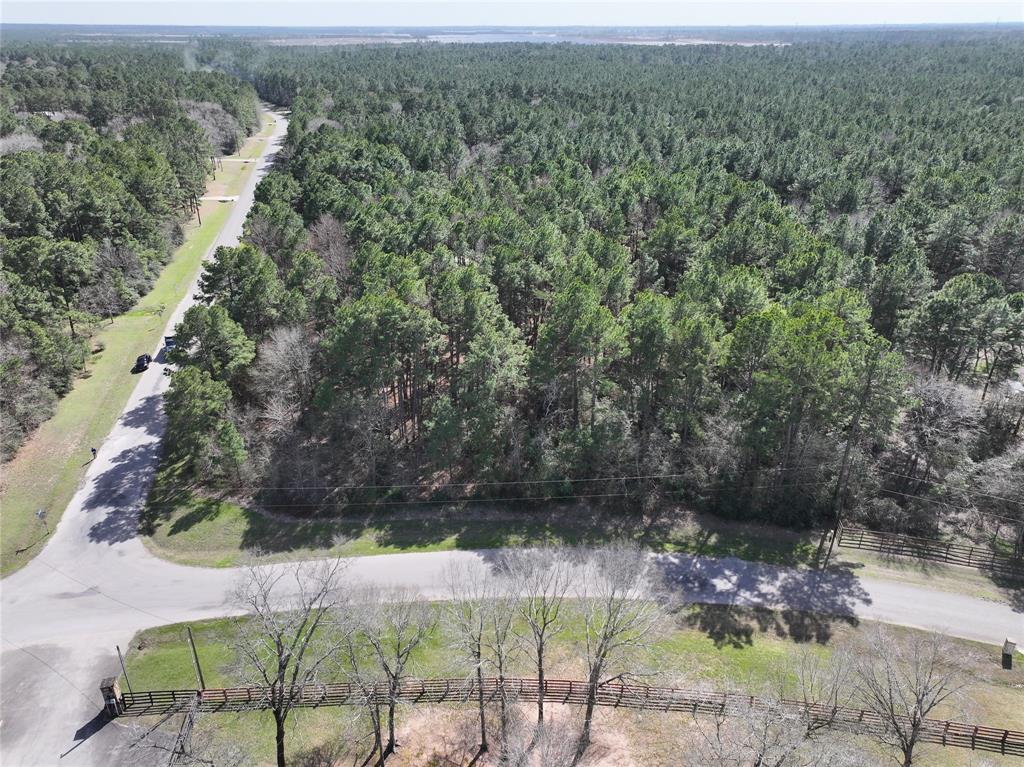 17582 E Terrace Oaks Drive, Waller, Texas image 6