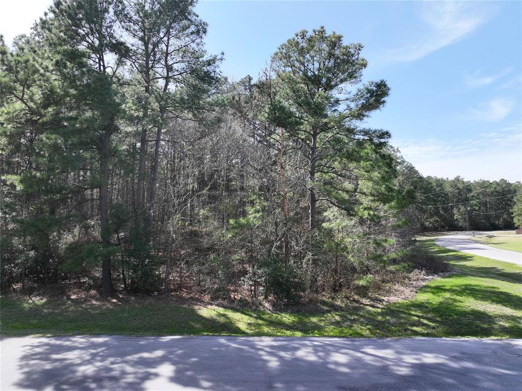 17582 E Terrace Oaks Drive, Waller, Texas image 9