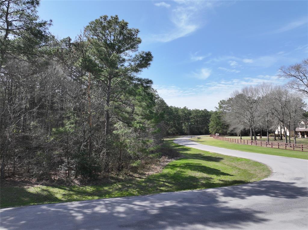 17582 E Terrace Oaks Drive, Waller, Texas image 7