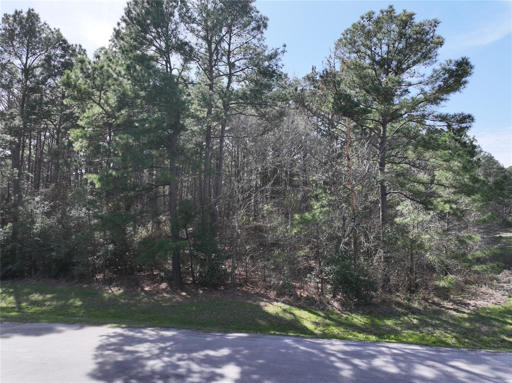 17582 E Terrace Oaks Drive, Waller, Texas image 8