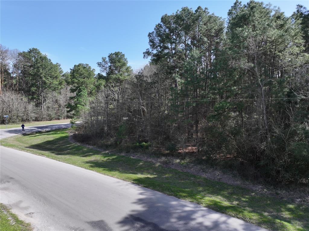 17582 E Terrace Oaks Drive, Waller, Texas image 5
