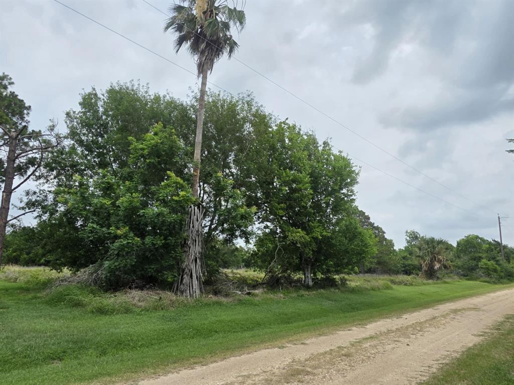 182 Smith Road, Palacios, Texas image 21