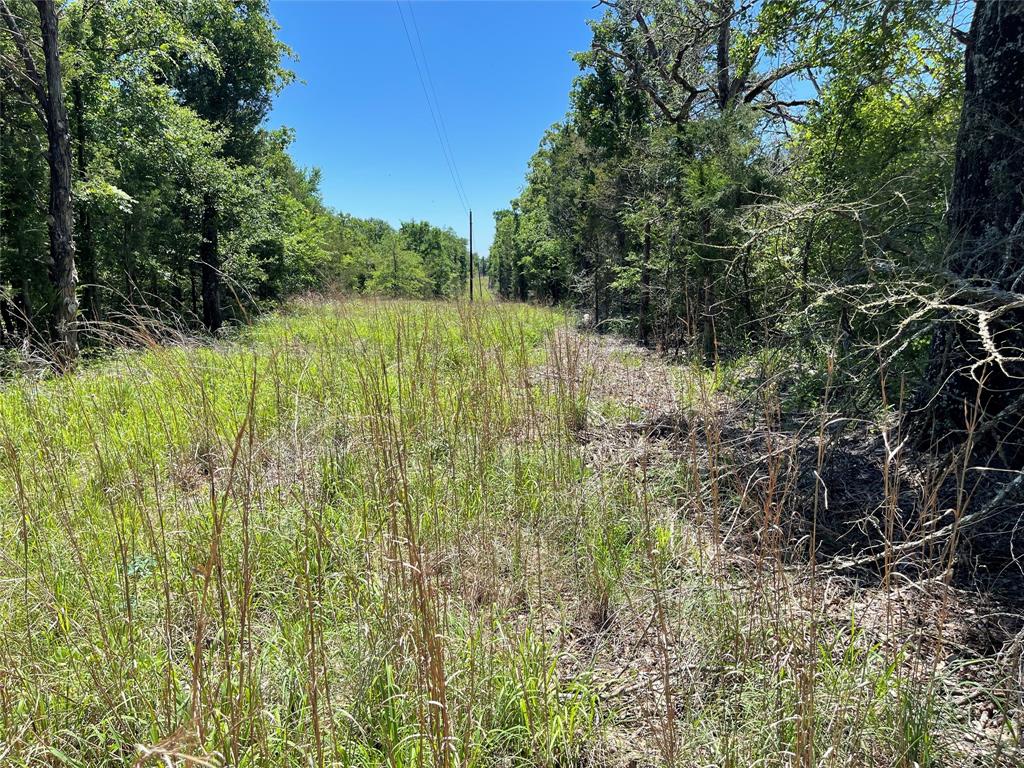 TBD County Road 844, Teague, Texas image 7