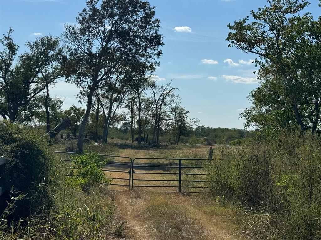 Highway 36, Guy, Texas image 6