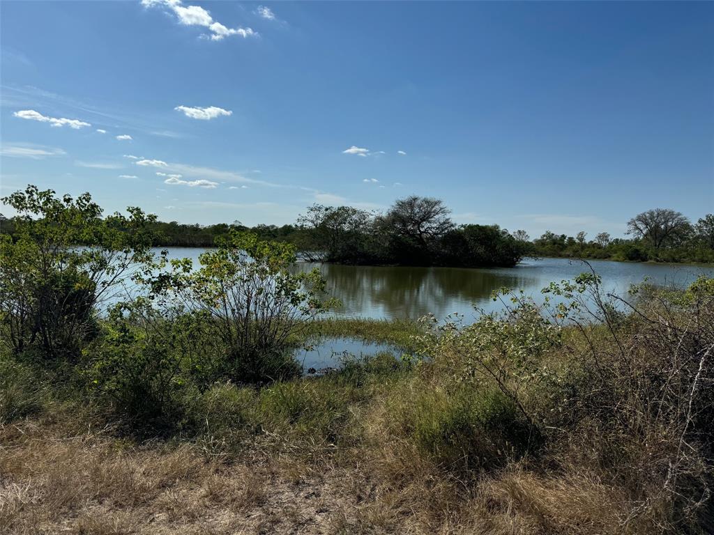 Highway 36, Guy, Texas image 8