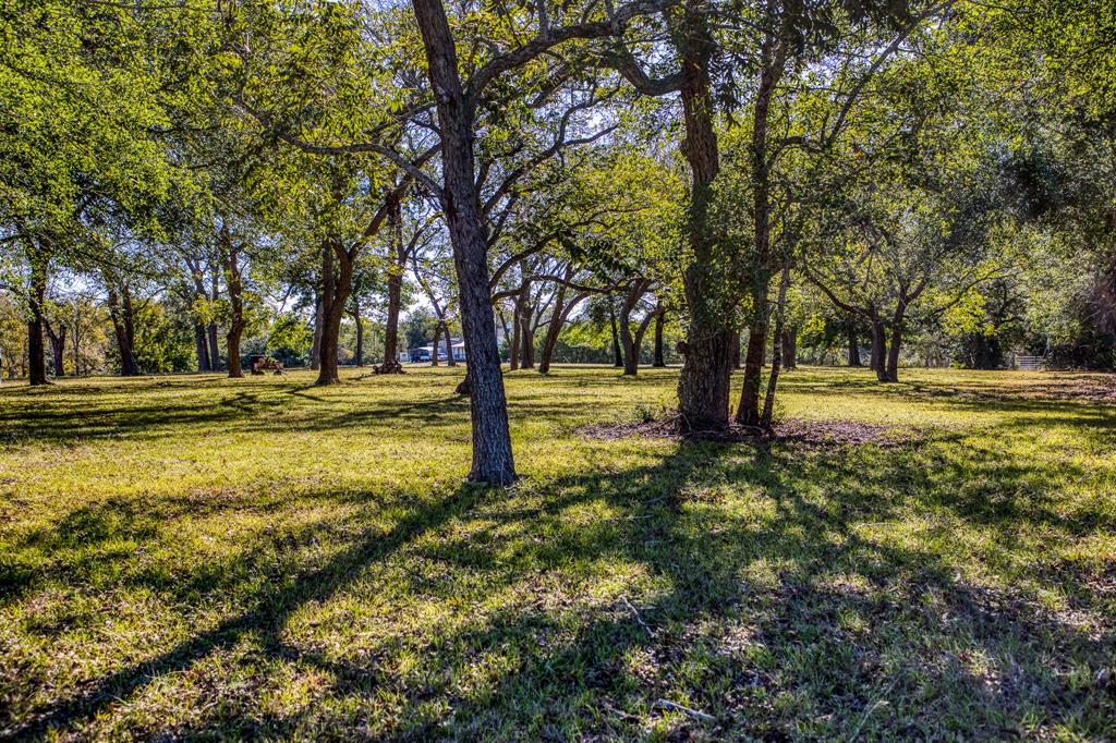 1598 Tiemann A Road, New Ulm, Texas image 36