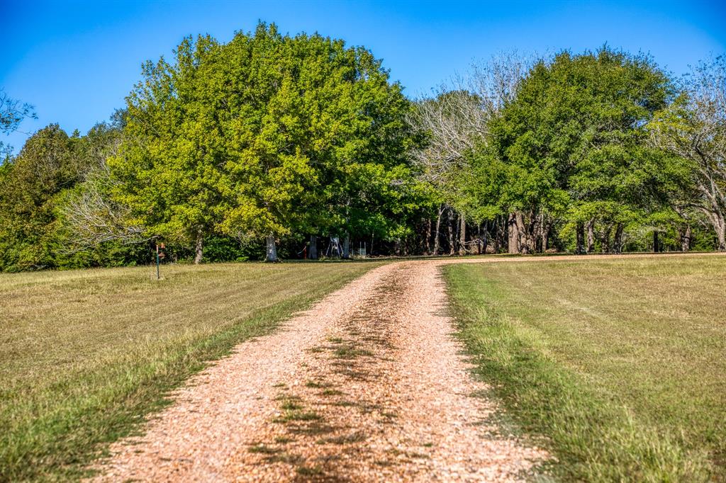 1598 Tiemann A Road, New Ulm, Texas image 43