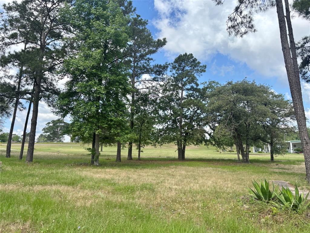 4647 Recreational Road 255, Colmesneil, Texas image 43