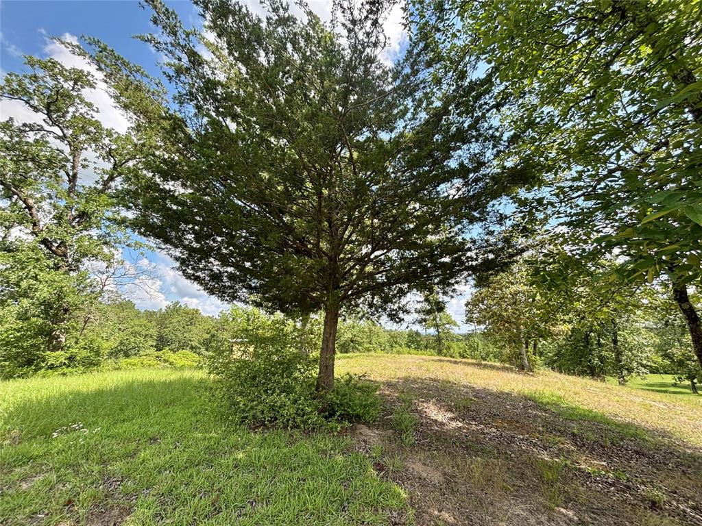 4647 Recreational Road 255, Colmesneil, Texas image 46