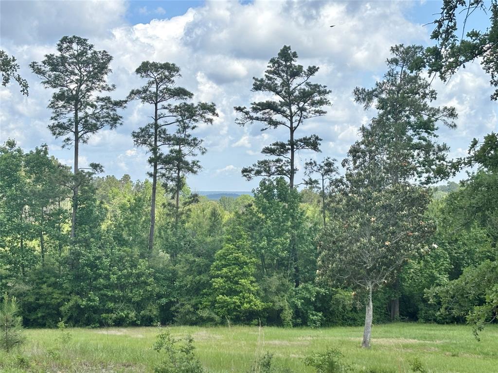 4647 Recreational Road 255, Colmesneil, Texas image 47