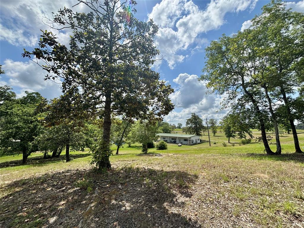 4647 Recreational Road 255, Colmesneil, Texas image 45