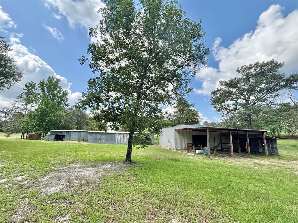 4647 Recreational Road 255, Colmesneil, Texas image 38