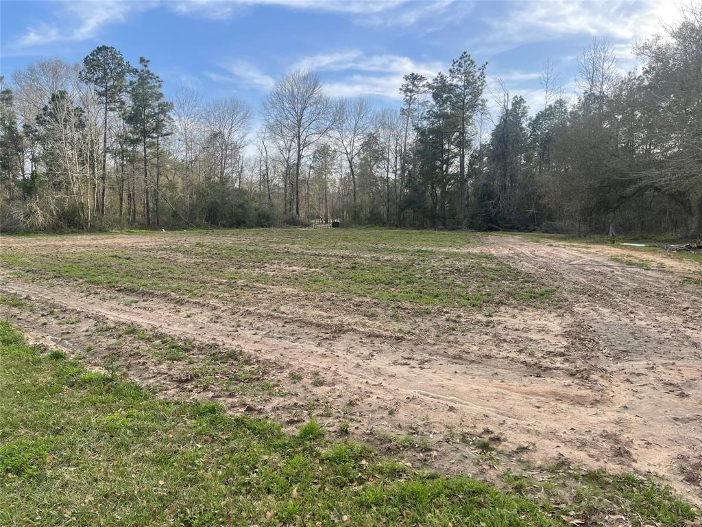 TBD Farm To Market 943, Livingston, Texas image 4