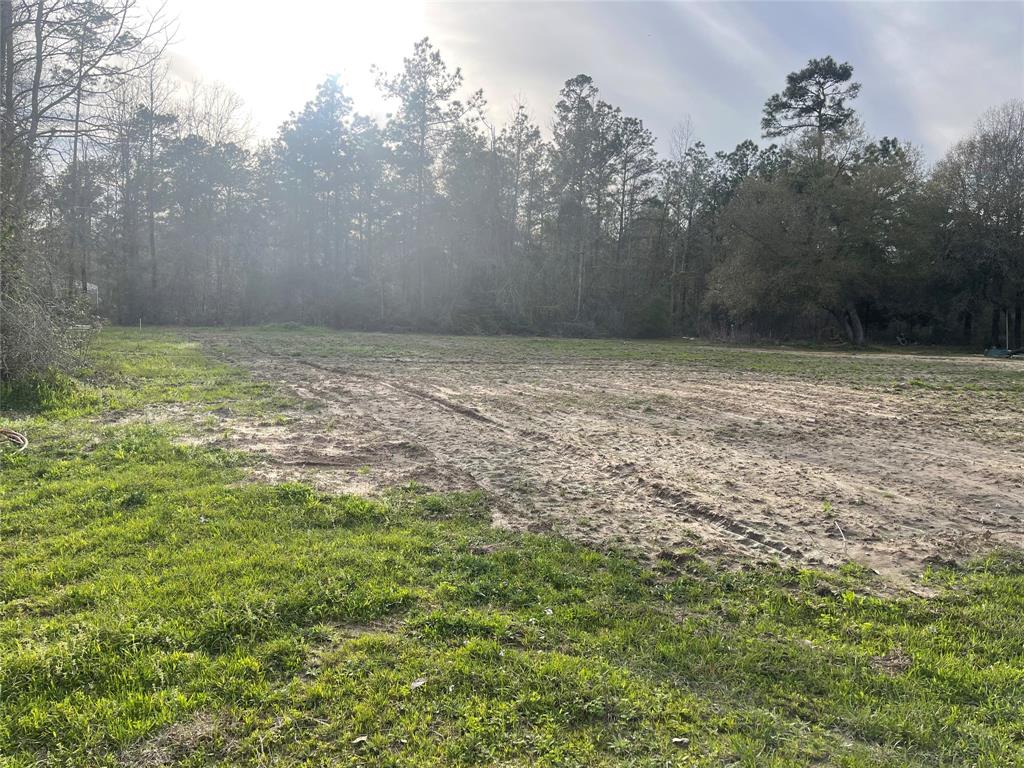 TBD Farm To Market 943, Livingston, Texas image 3