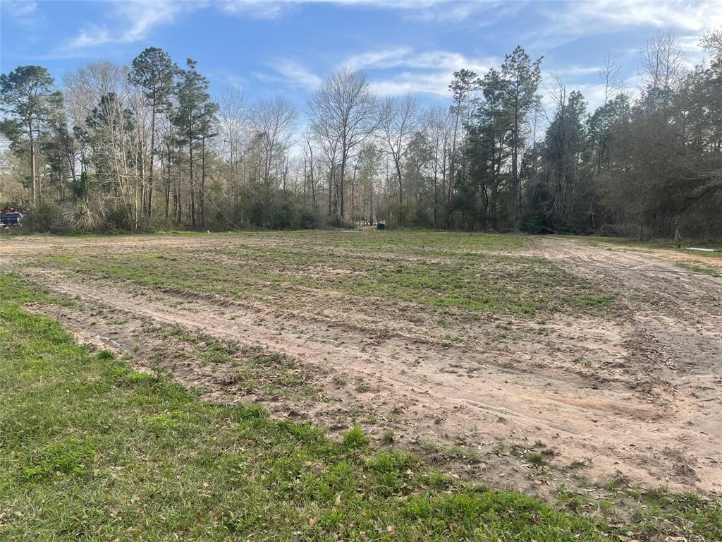 TBD Farm To Market 943, Livingston, Texas image 2