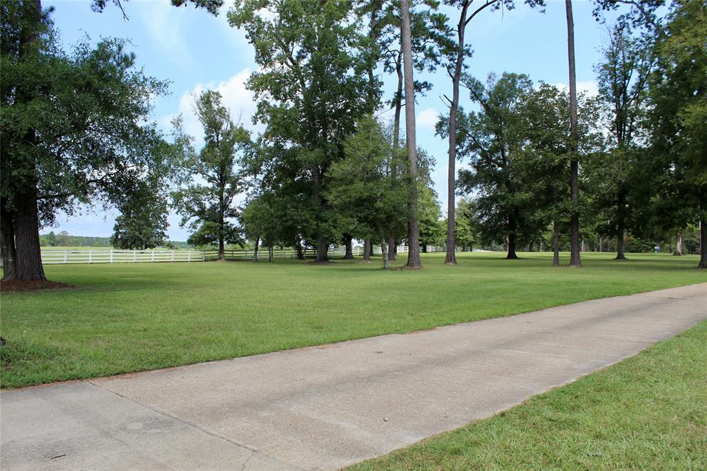 TBD Lakeland Ranch Lot 388, Hillister, Texas image 10