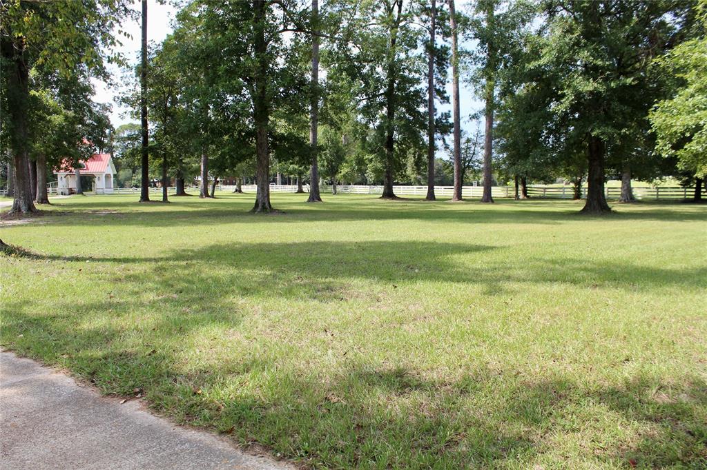 TBD Lakeland Ranch Lot 388, Hillister, Texas image 16