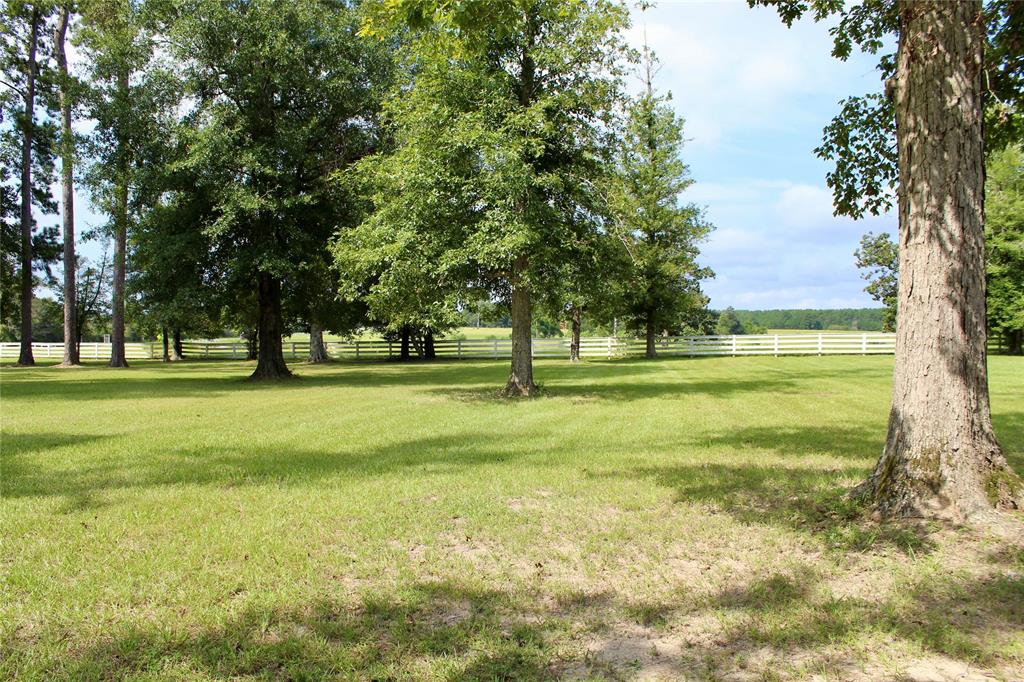 TBD Lakeland Ranch Lot 388, Hillister, Texas image 21