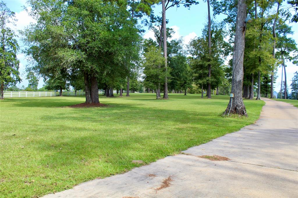 TBD Lakeland Ranch Lot 388, Hillister, Texas image 7