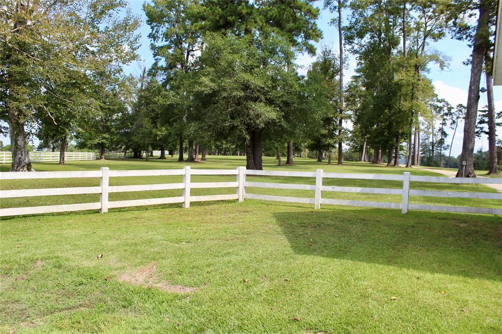 TBD Lakeland Ranch Lot 388, Hillister, Texas image 5