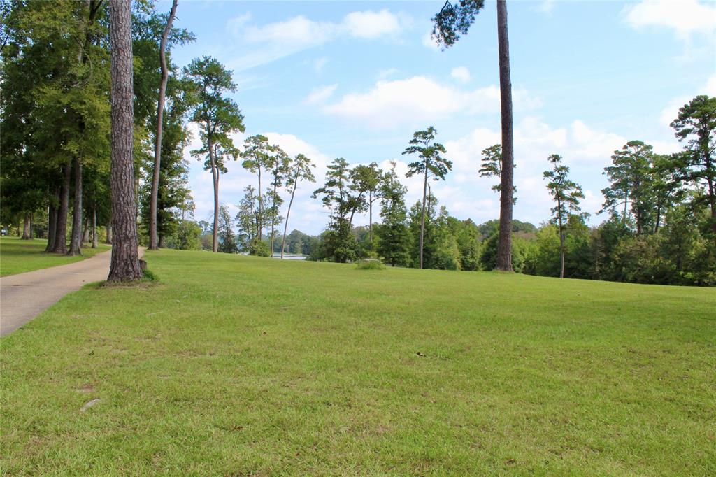 TBD Lakeland Ranch Lot 388, Hillister, Texas image 12