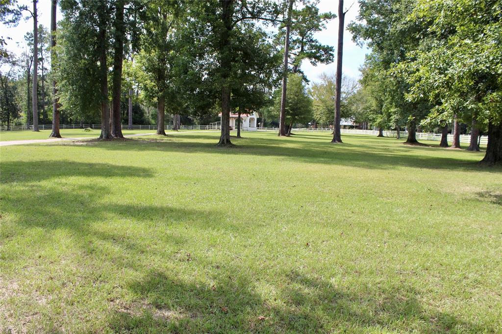 TBD Lakeland Ranch Lot 388, Hillister, Texas image 15