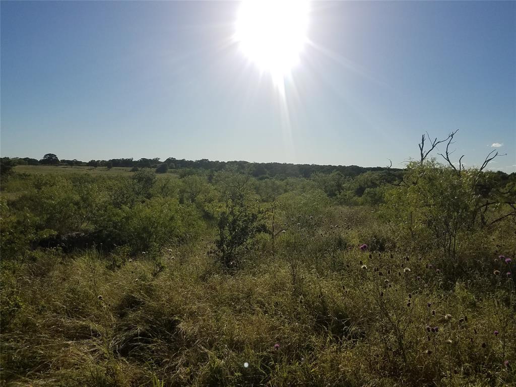 TBD N Fm 487, Buckholts, Texas image 2