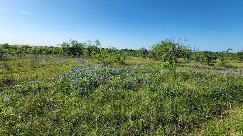 TBD N Fm 487, Buckholts, Texas image 6