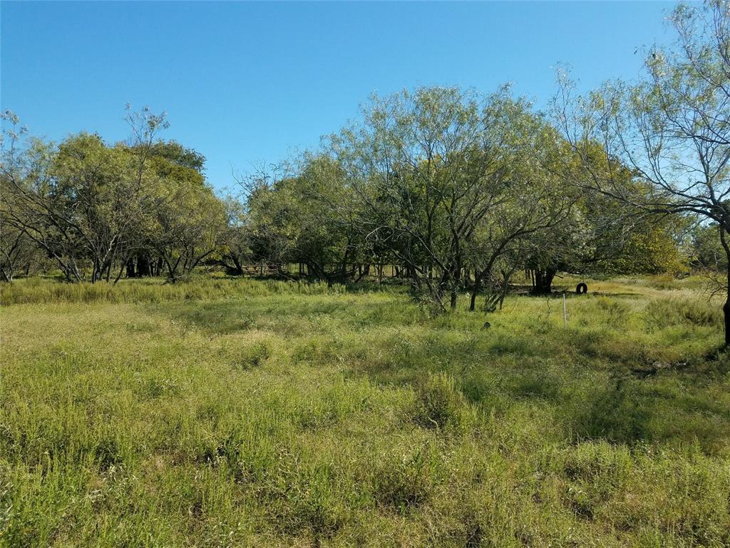 TBD N Fm 487, Buckholts, Texas image 3