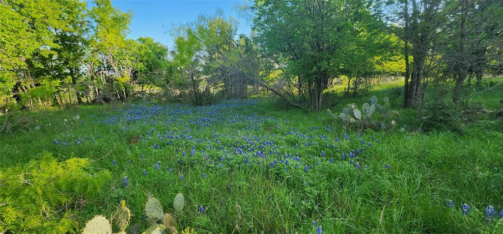 TBD N Fm 487, Buckholts, Texas image 9