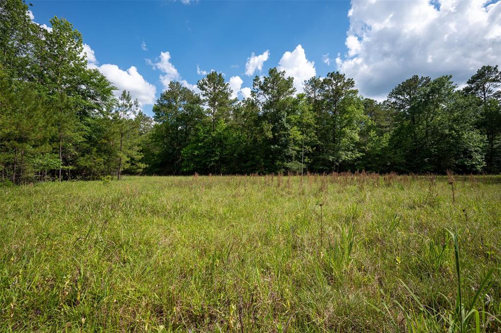 Tbd Us Highway 190, Woodville, Texas image 3