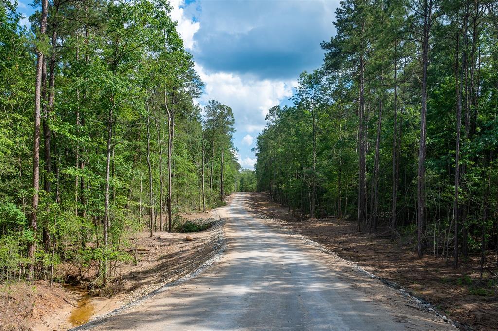 Tbd Us Highway 190, Woodville, Texas image 8