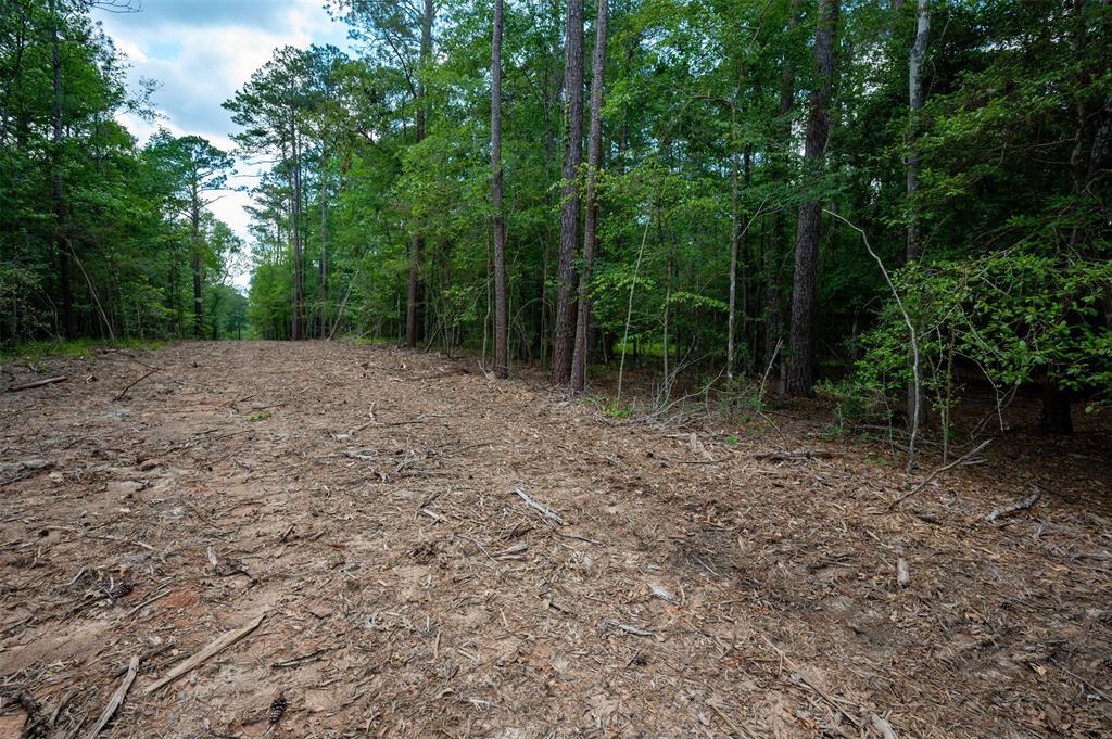 Tbd Us Highway 190, Woodville, Texas image 9