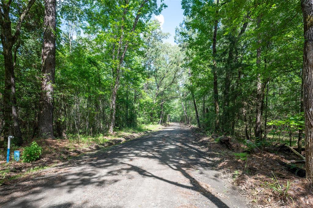 Tbd Us Highway 190, Woodville, Texas image 7