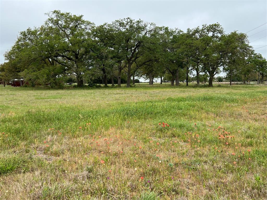 153 Pvt 1671, Hallettsville, Texas image 4