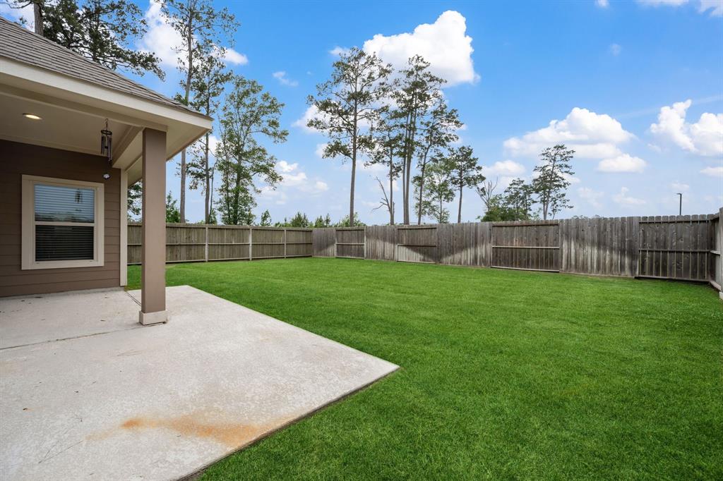 20005 Wade Hampton Drive, Cleveland, Texas image 29