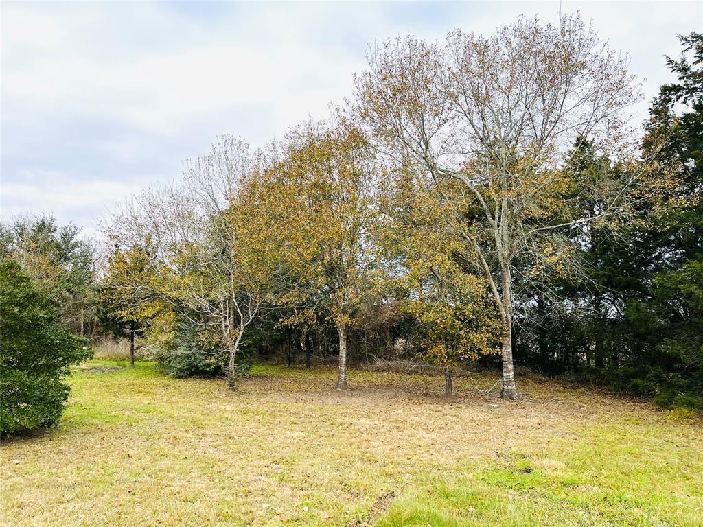 10021 Hwy 36 N Ramp, Kenney, Texas image 16