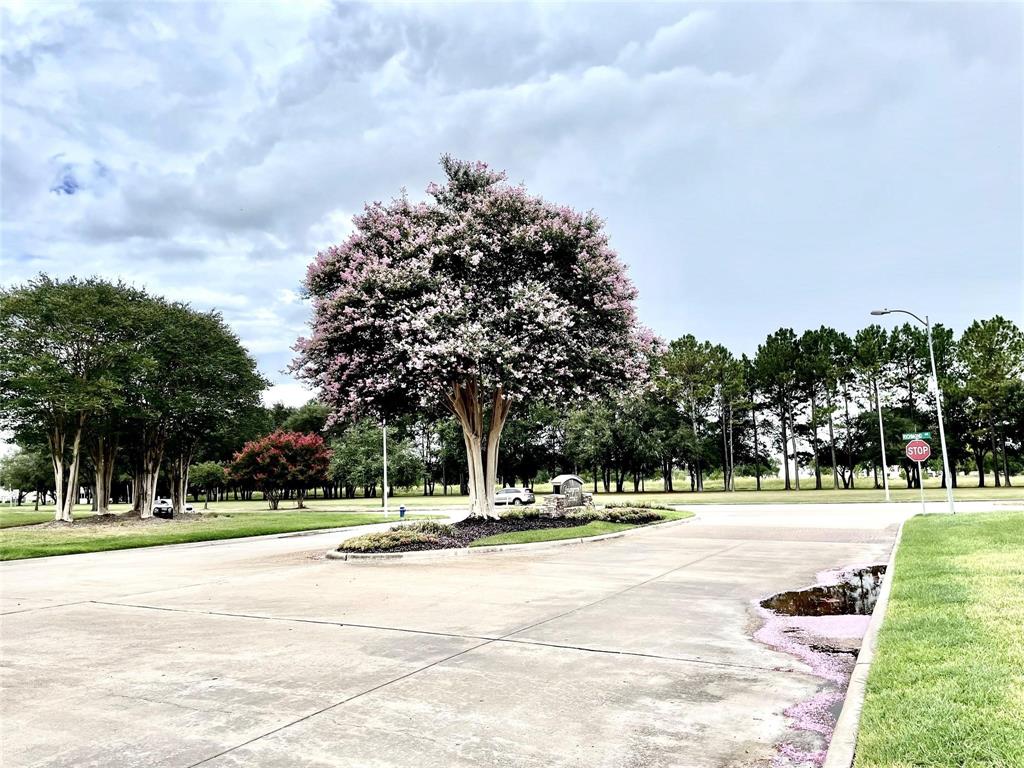 14102 Grovemist Lane, Houston, Texas image 5