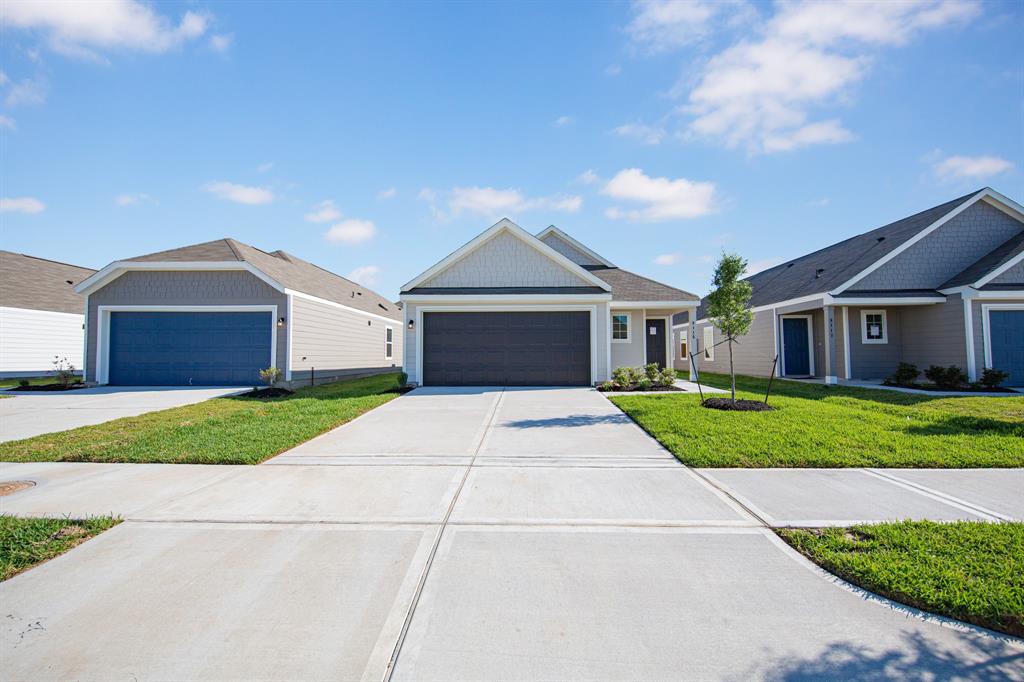 8115 Vanilla Orchid Drive, Houston, Texas image 1