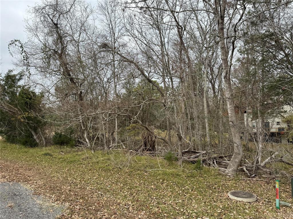 Lot 100 Elm Cove Circle, Coldspring, Texas image 3